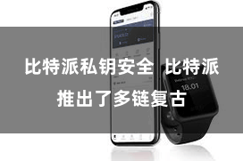 比特派私钥安全 比特派推出了多链复古